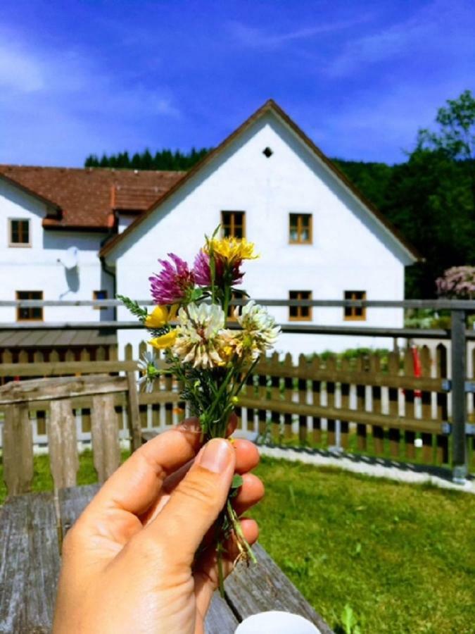 Апартаменты Einkehrhof Poggau Reinsberg Экстерьер фото